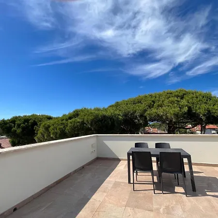 Apartment Vittoria Tirrenia